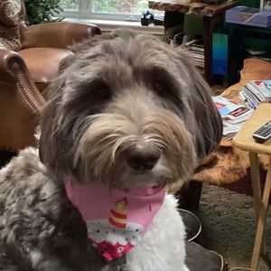 Meet your Posher, Laura